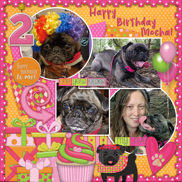 Happy Birthday Mocha!