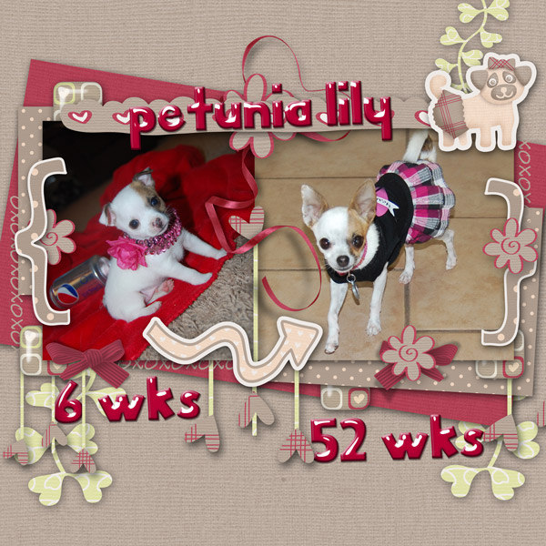 Happy Birthday Petunia Lily!  1 yr old!