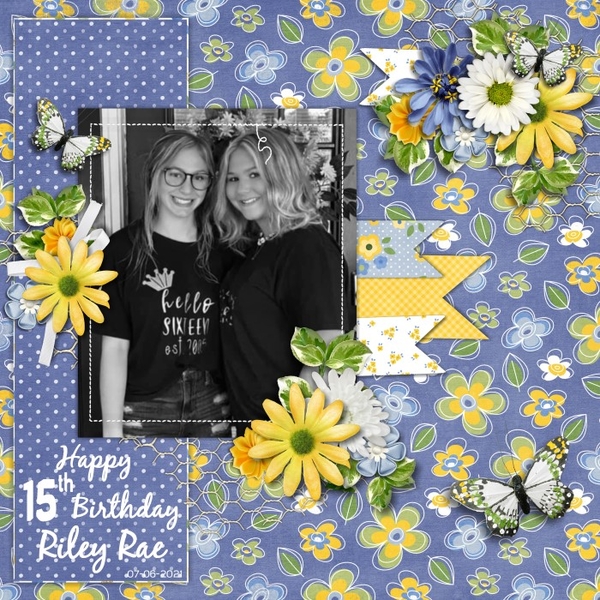 Happy Birthday-pg1