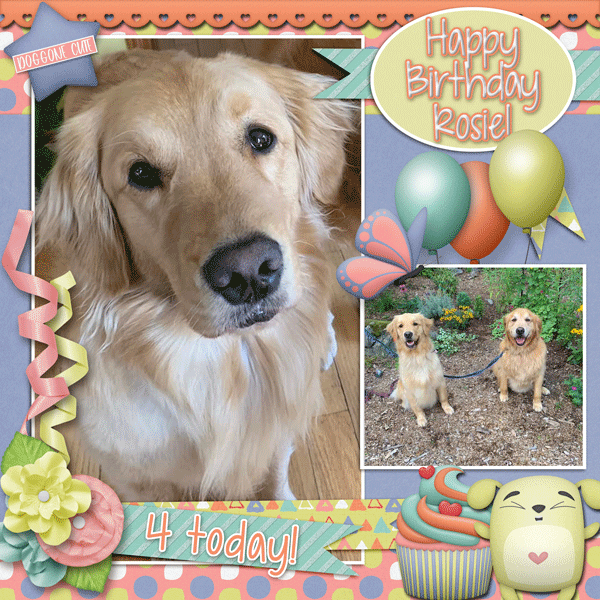 Happy Birthday Rosie!