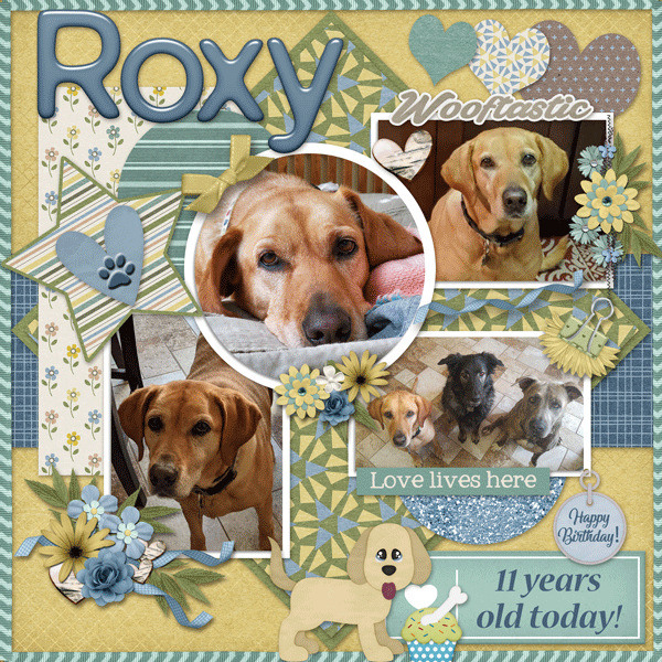 Happy Birthday Roxy