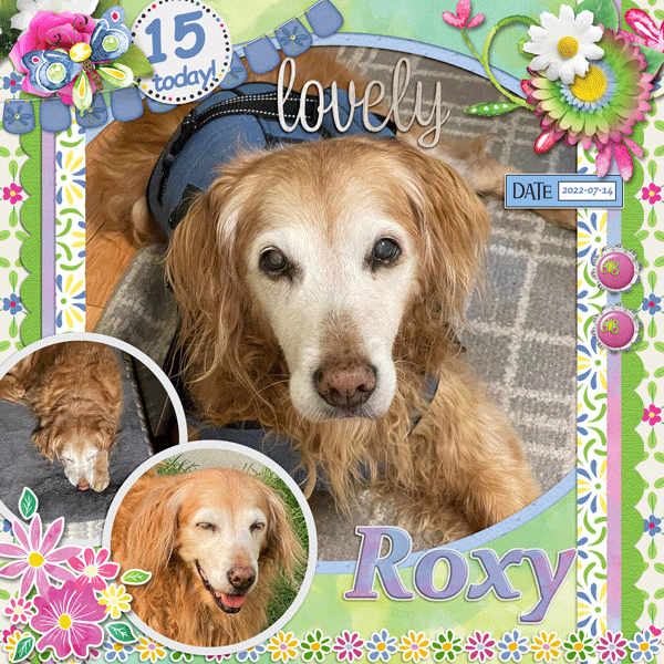 Happy Birthday Roxy