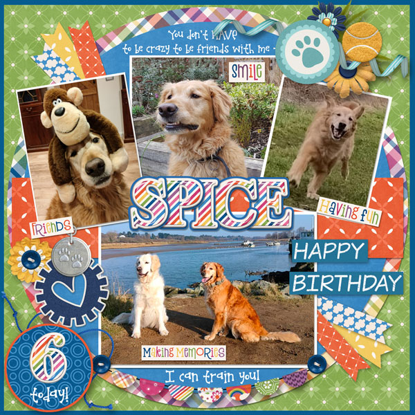 Happy Birthday Spice