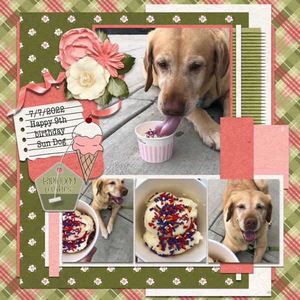 Happy Birthday Sun Dog