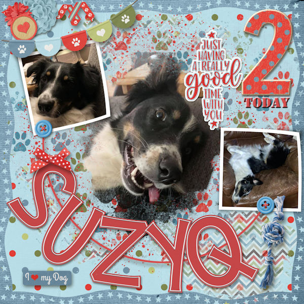 Happy Birthday SuzyQ!