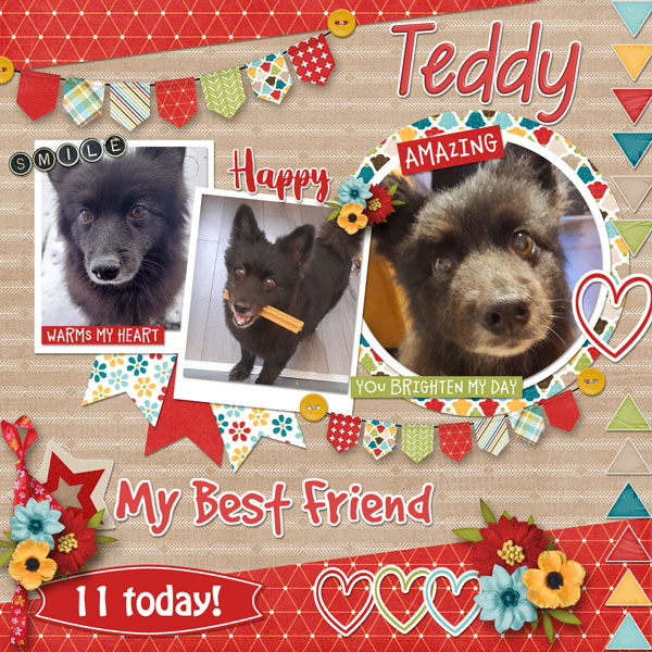 Happy Birthday Teddy