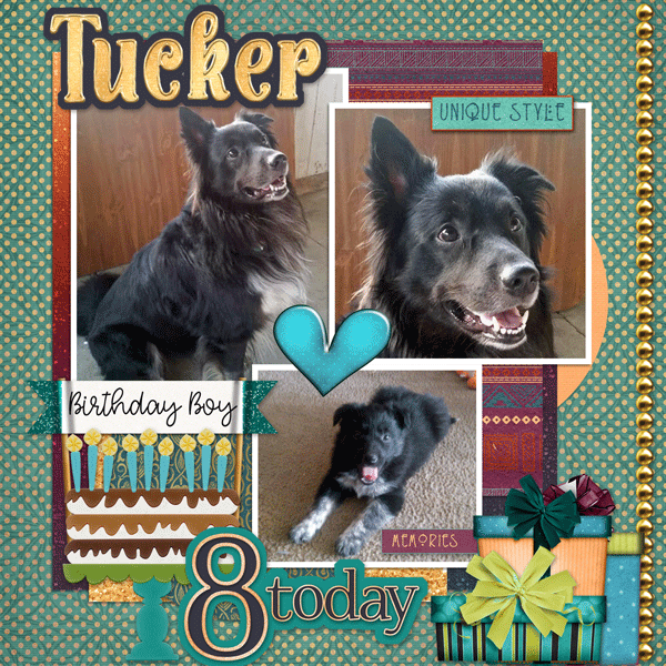 Happy Birthday Tucker!