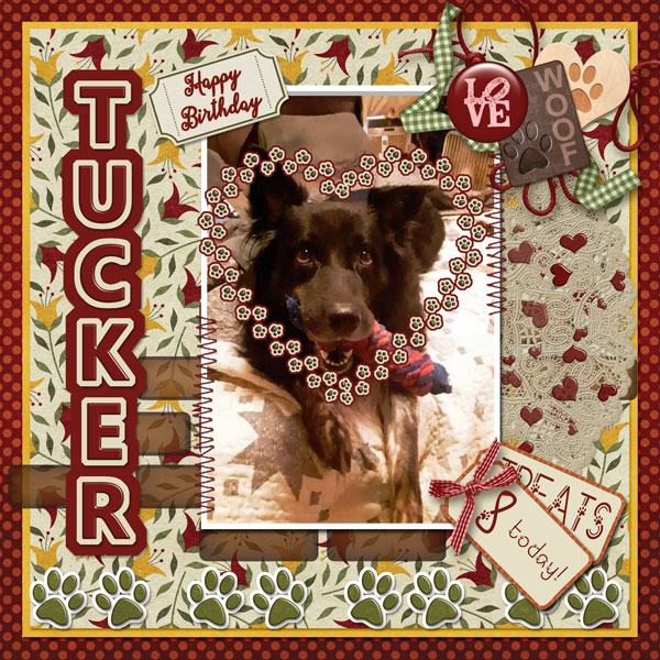 Happy Birthday Tucker!