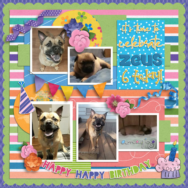 Happy Birthday Zeus!