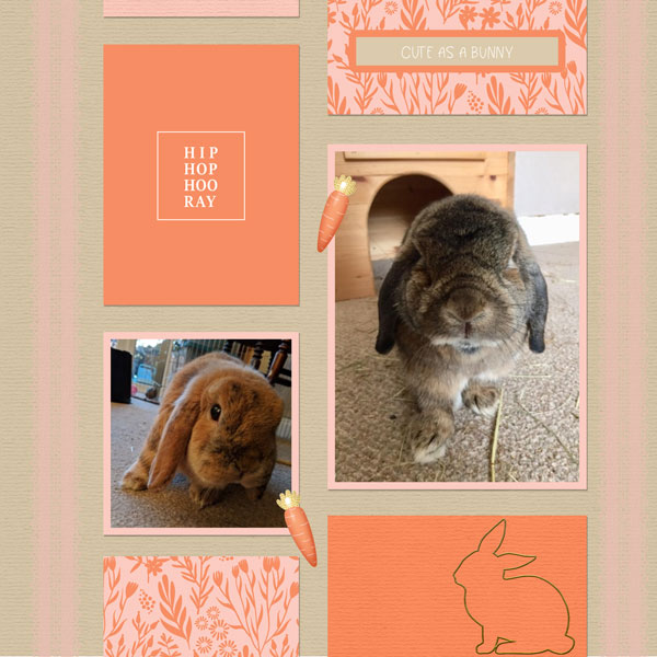 Happy Bunnies