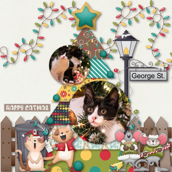 Happy Catmas