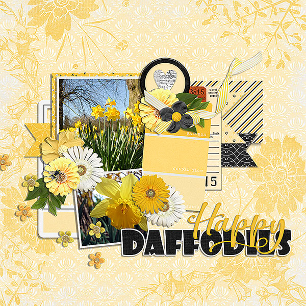 happy daffodils