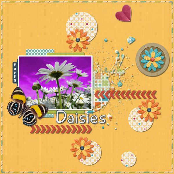 Happy Daisies