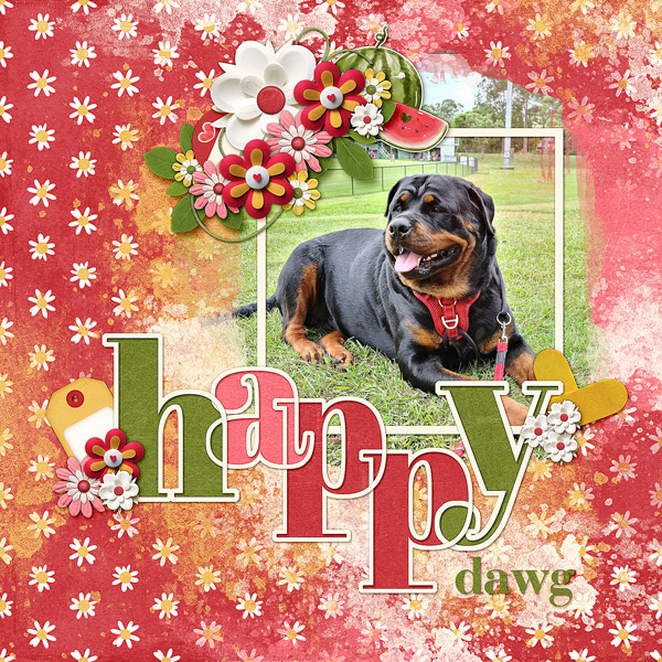 Happy Dawg