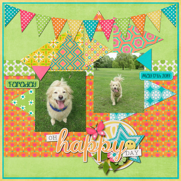 Happy day Faraday
