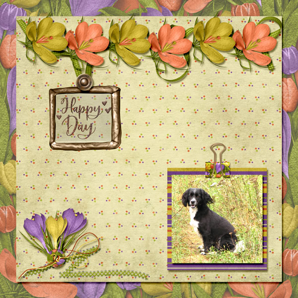 Happy Day