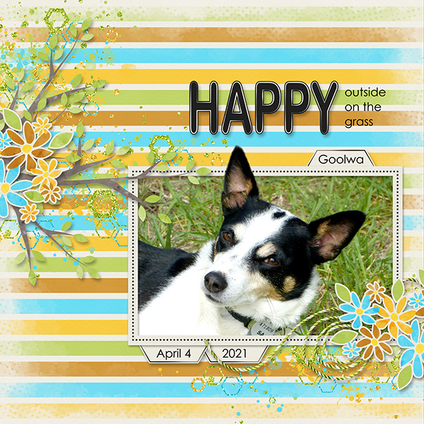 Happy Dog