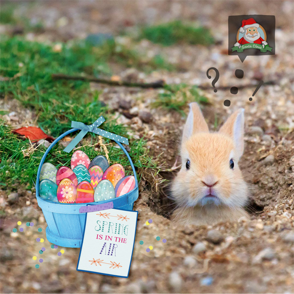 Happy Easter Mr Bunny