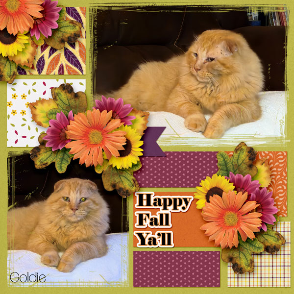 Happy Fall Ya