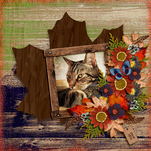 happy Fall