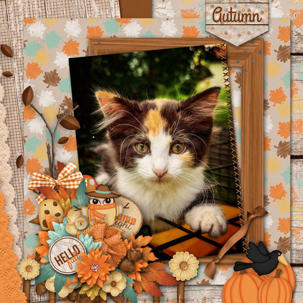 Happy Fall