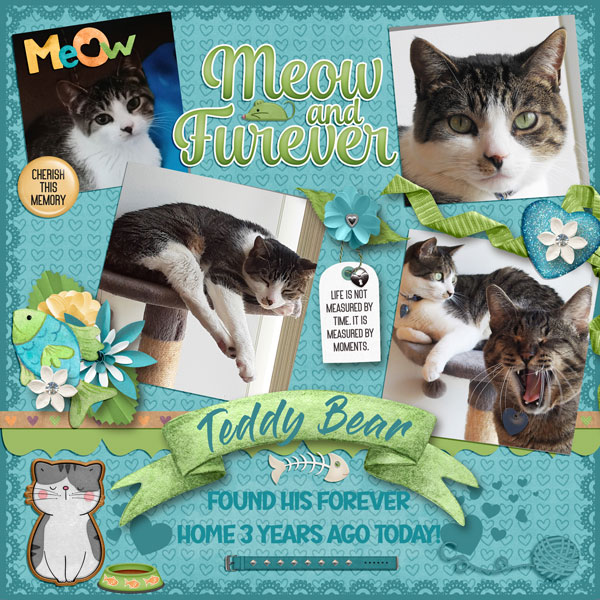Happy Gotcha Day 2023 Teddy Bear