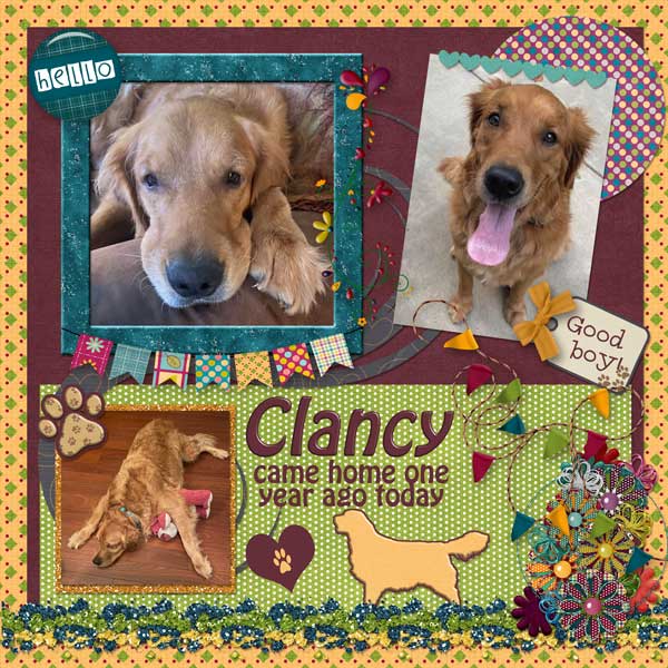 Happy Gotcha Day Clancy
