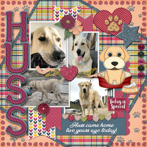 Happy Gotcha Day Huss!