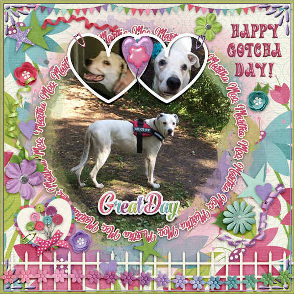 Happy Gotcha Day Martha Moo