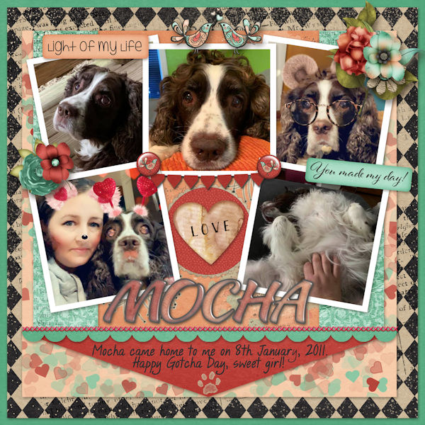 Happy Gotcha Day Mocha!
