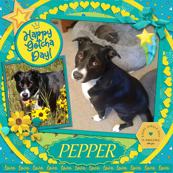 Happy Gotcha Day Pepper