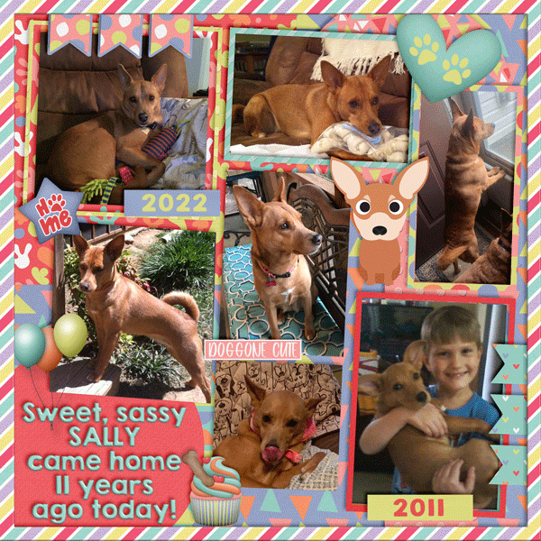 Happy Gotcha Day Sally