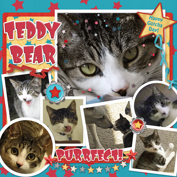 Happy Gotcha Day Teddy