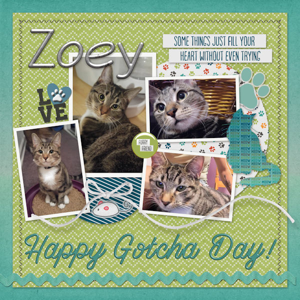 Happy Gotcha Day Zoey