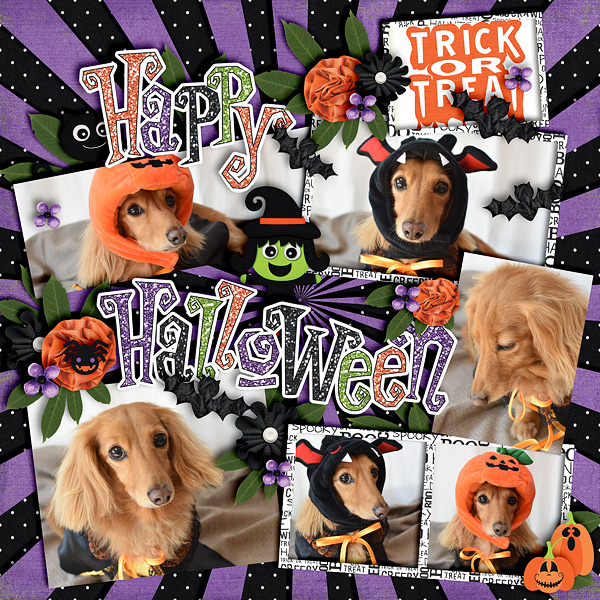 Happy Halloween