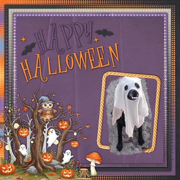 Happy  Halloween