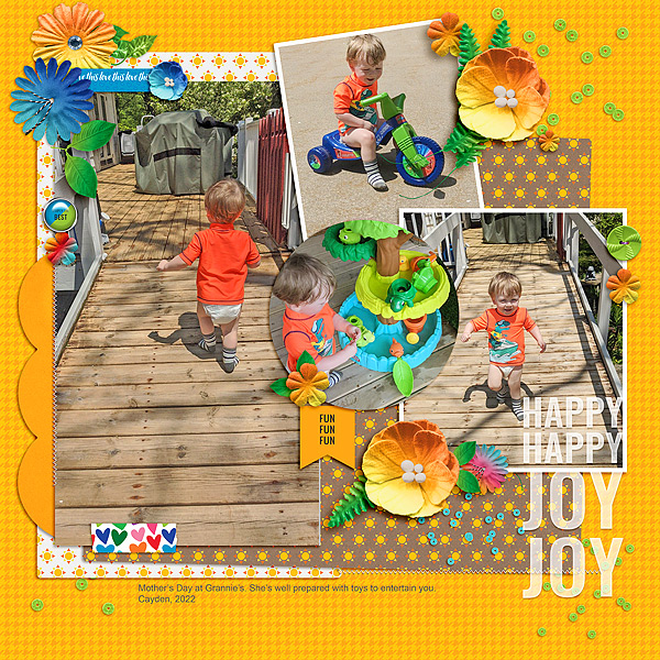 Happy Happy Joy Joy