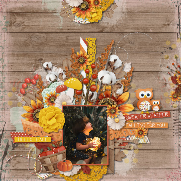 Happy harvest