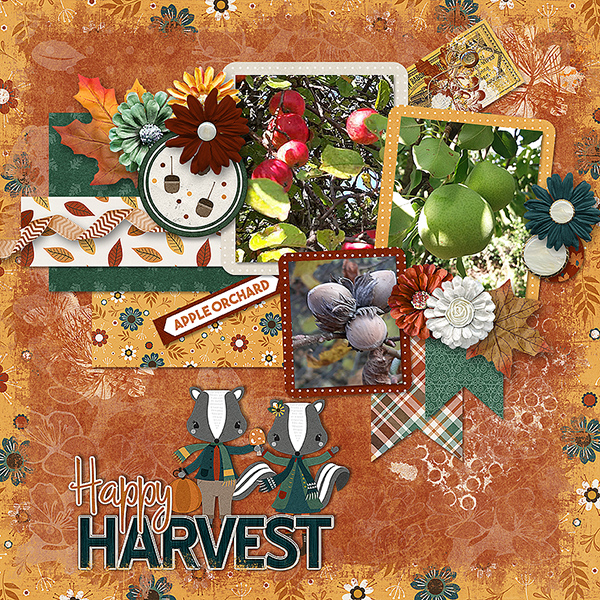 Happy Harvest