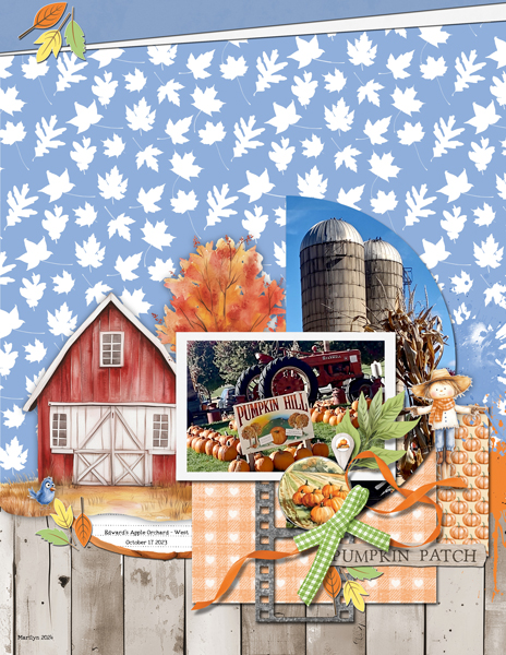 Happy Harvest