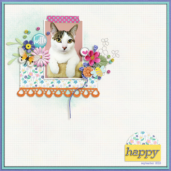 happy hello
