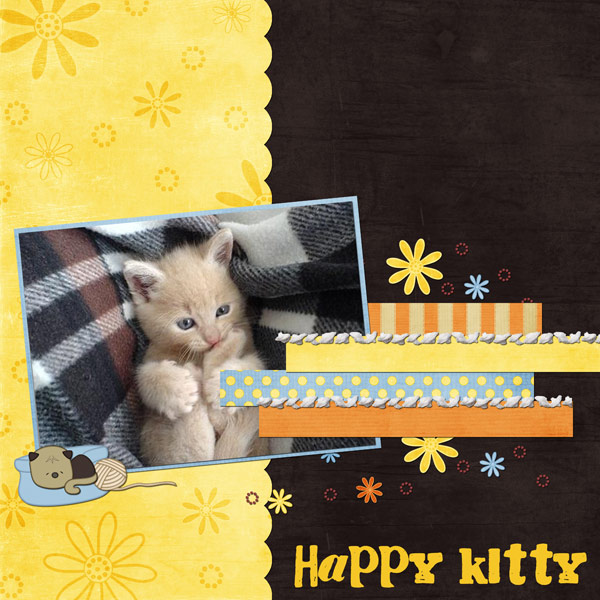 Happy Kitty