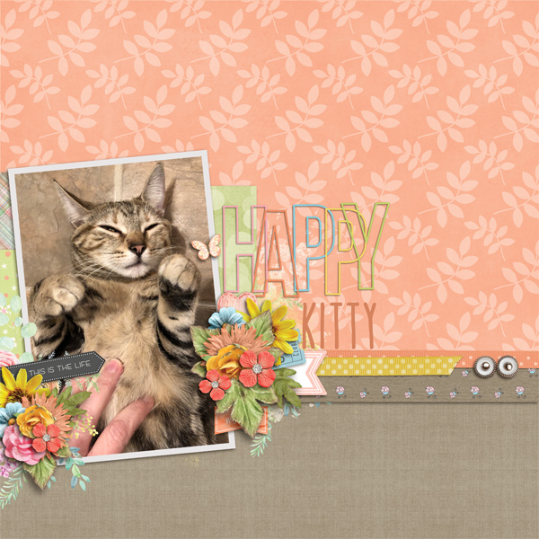 Happy Kitty
