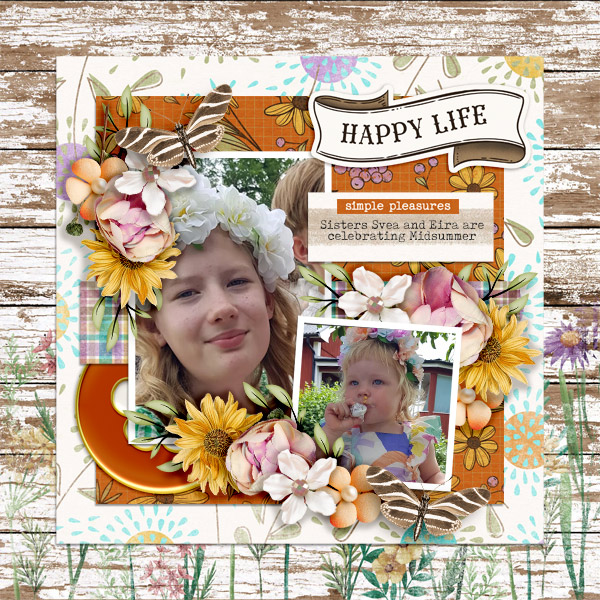 Happy-life6