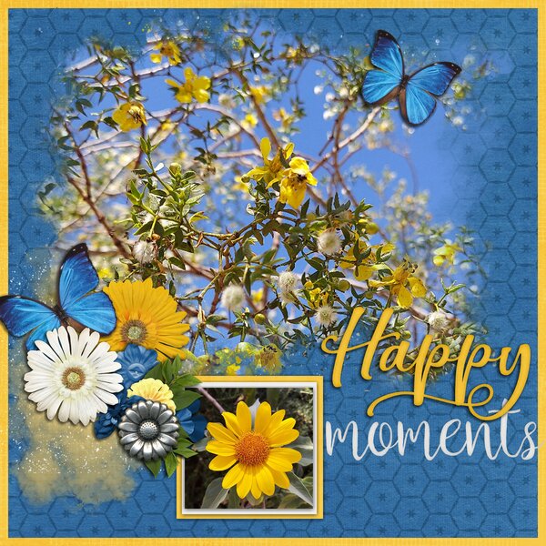 Happy Moments