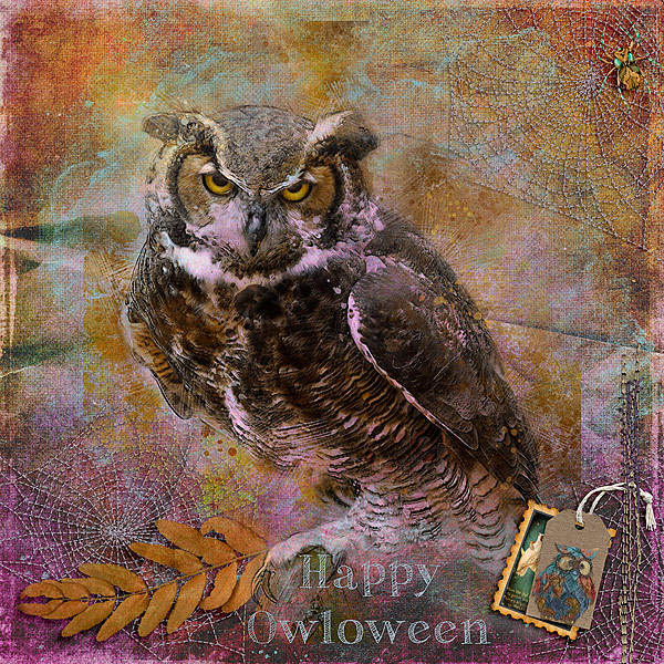 Happy Owloween