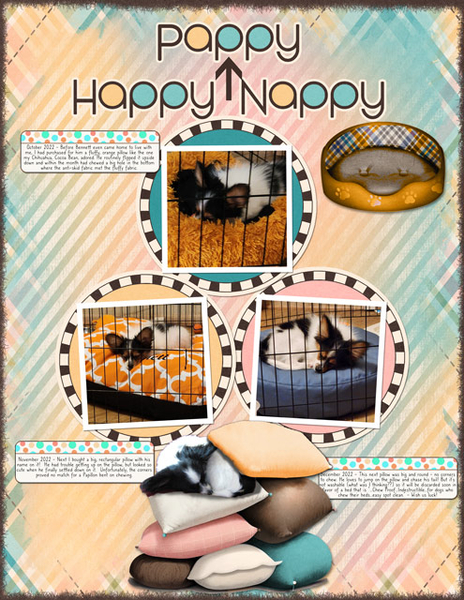Happy Pappy Nappy