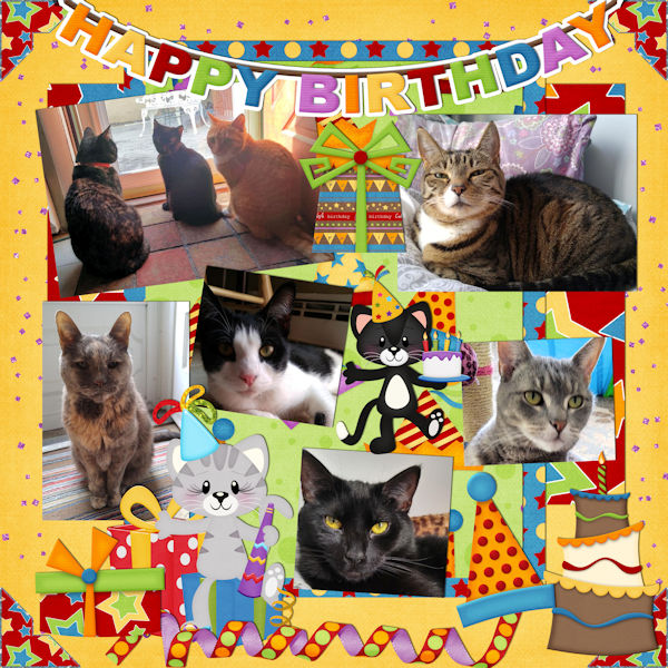 Happy Purrthday Kristina