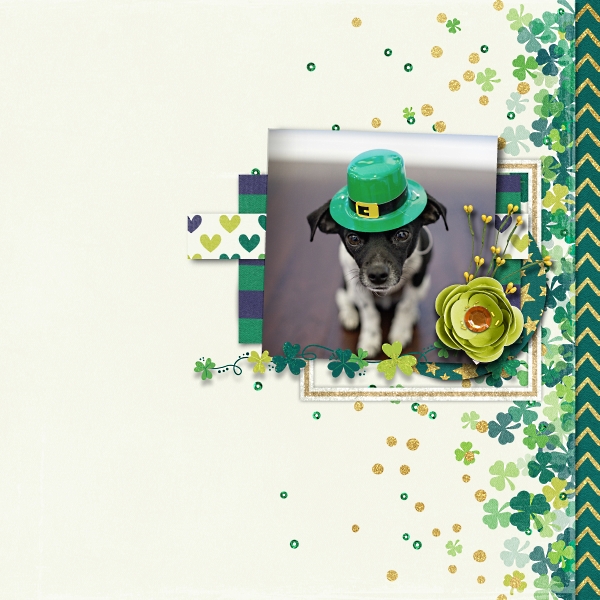 Happy St. Paddy