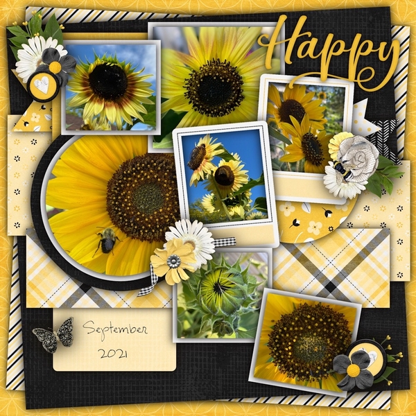 Happy Sunflowers